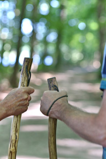 Durch den Wald (Detail)